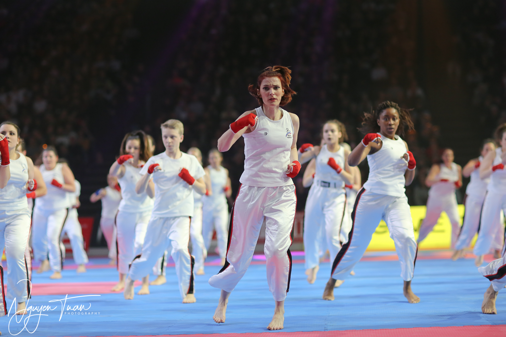 20190324 Festival des Arts Martiaux 2080